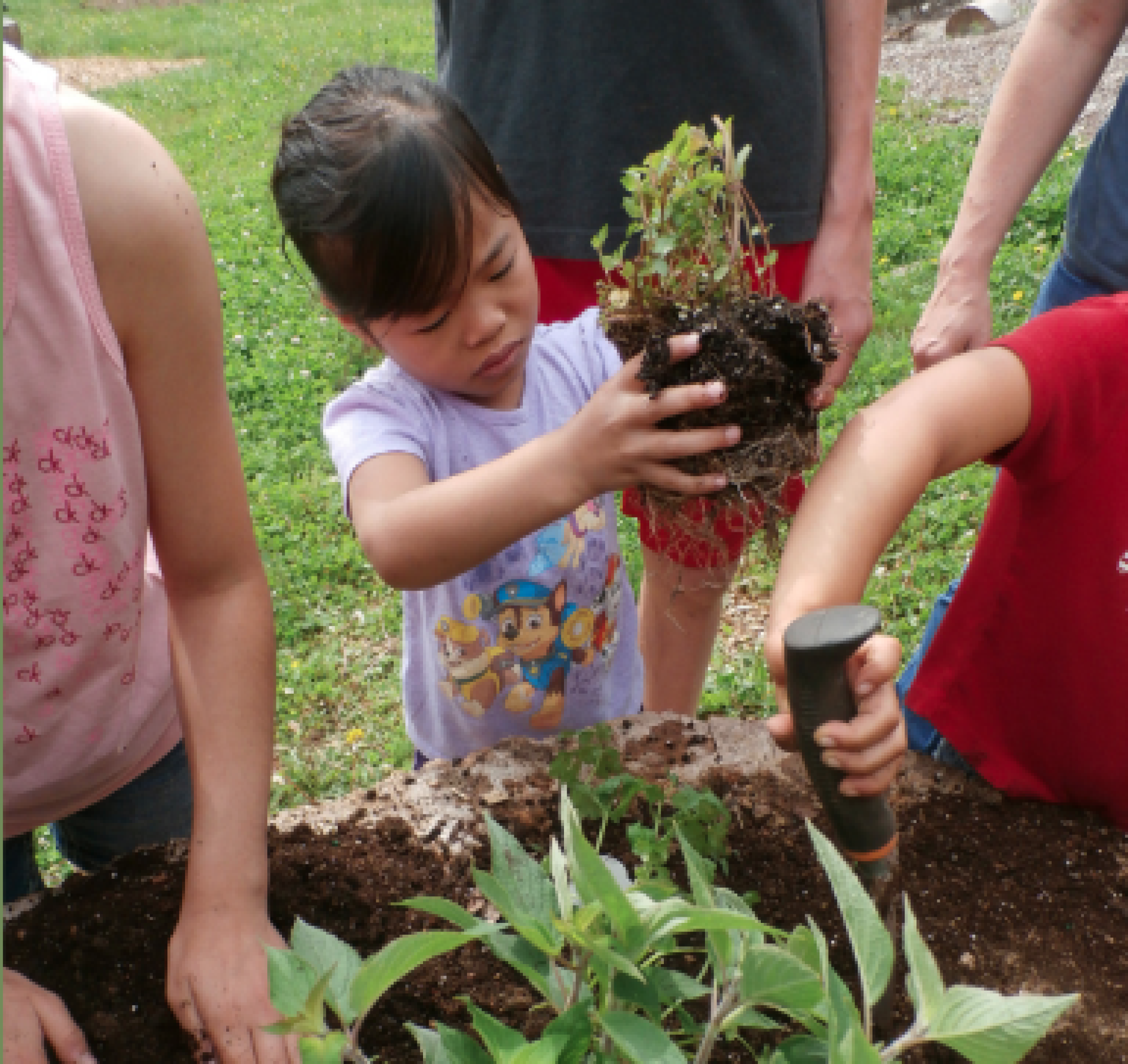 Lake Red Rock presents Playscape Planting Day photo