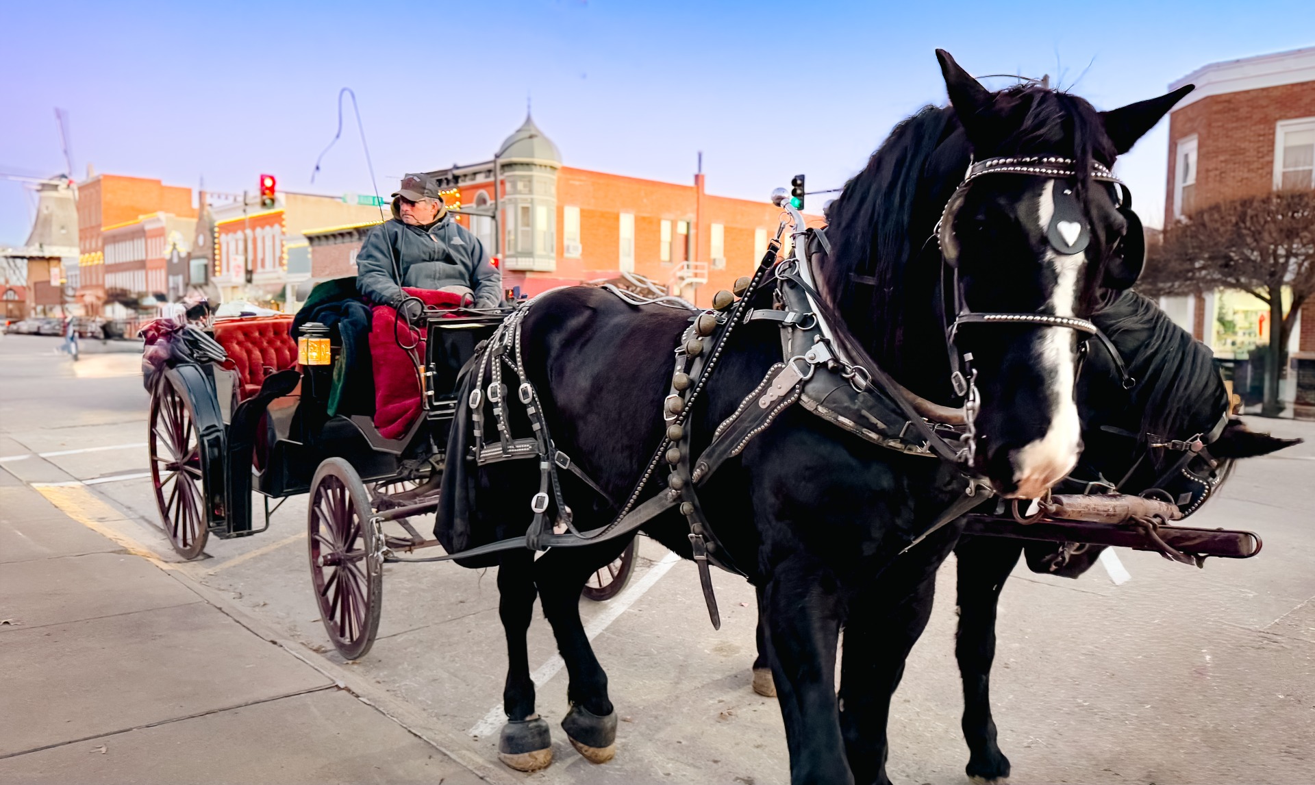 Carriage Rides