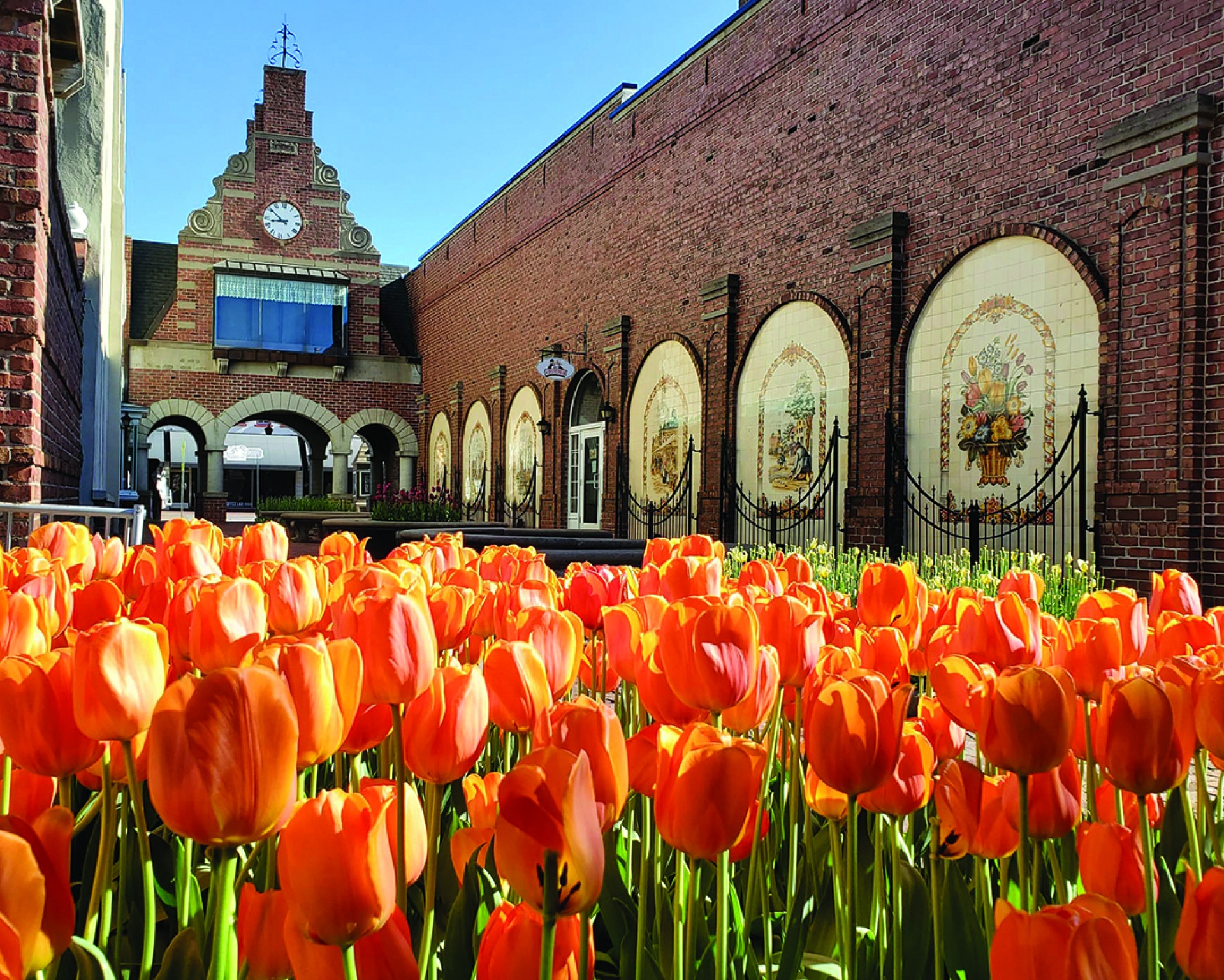 Klokkenspel with Tulips